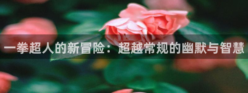 风车动漫巨人：一拳超人的新冒险：超越常规的幽默与智慧