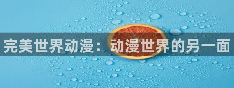 风车动漫全集免费阅读答案：完美世界动漫：动漫世界的另一面