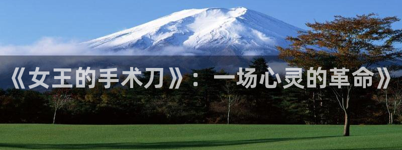 剑风传奇23集风车动漫：《女王的手术刀》：一场心灵的革命》