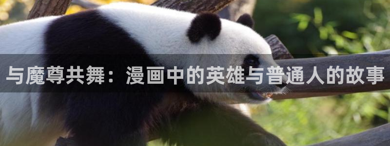 imomoe风车动漫官网：与魔尊共舞：漫画中的英雄与普通人的故事