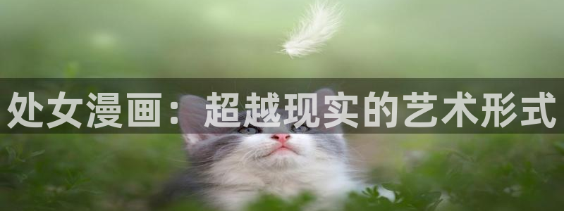 风车动漫在线看动画片免费下载：处女漫画：超越现实的艺术形式